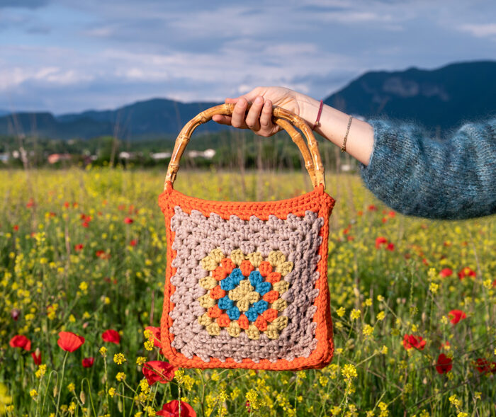 Borsa - Crostata all'albicocca